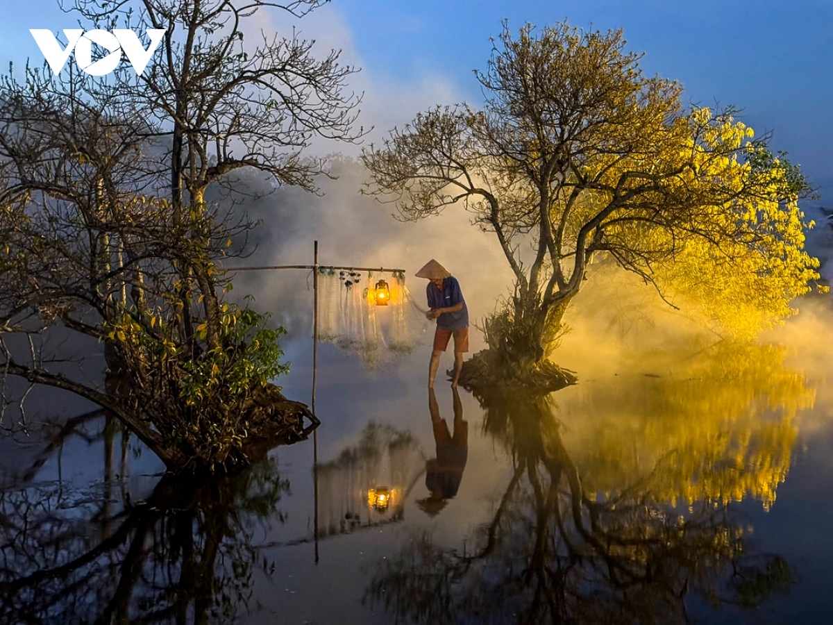 Cứ đến mùa lá vàng thì Rú Chá trở thành một "phim trường" tự nhiên của những người yêu thích nhiếp ảnh, thu hút các nghệ sĩ và nhiếp ảnh gia từ khắp nơi đổ về.