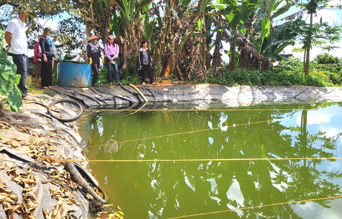 Kuăn pơlê pêi pro xêh mâu túa pơkâ hbrâ mơdât klâk têa tung hngêi