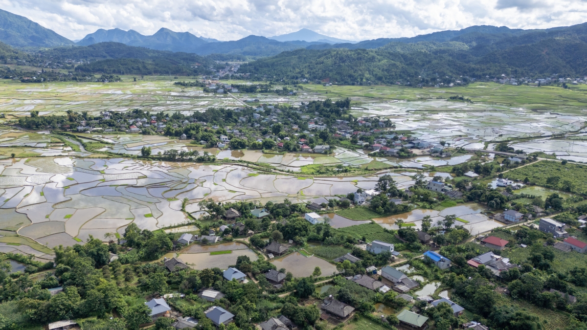 Mường Than - cánh đồng lớn thứ 3 Tây Bắc bước vào mùa nước đổ.
Ảnh: Khắc Kiên/VOV Tây Bắc