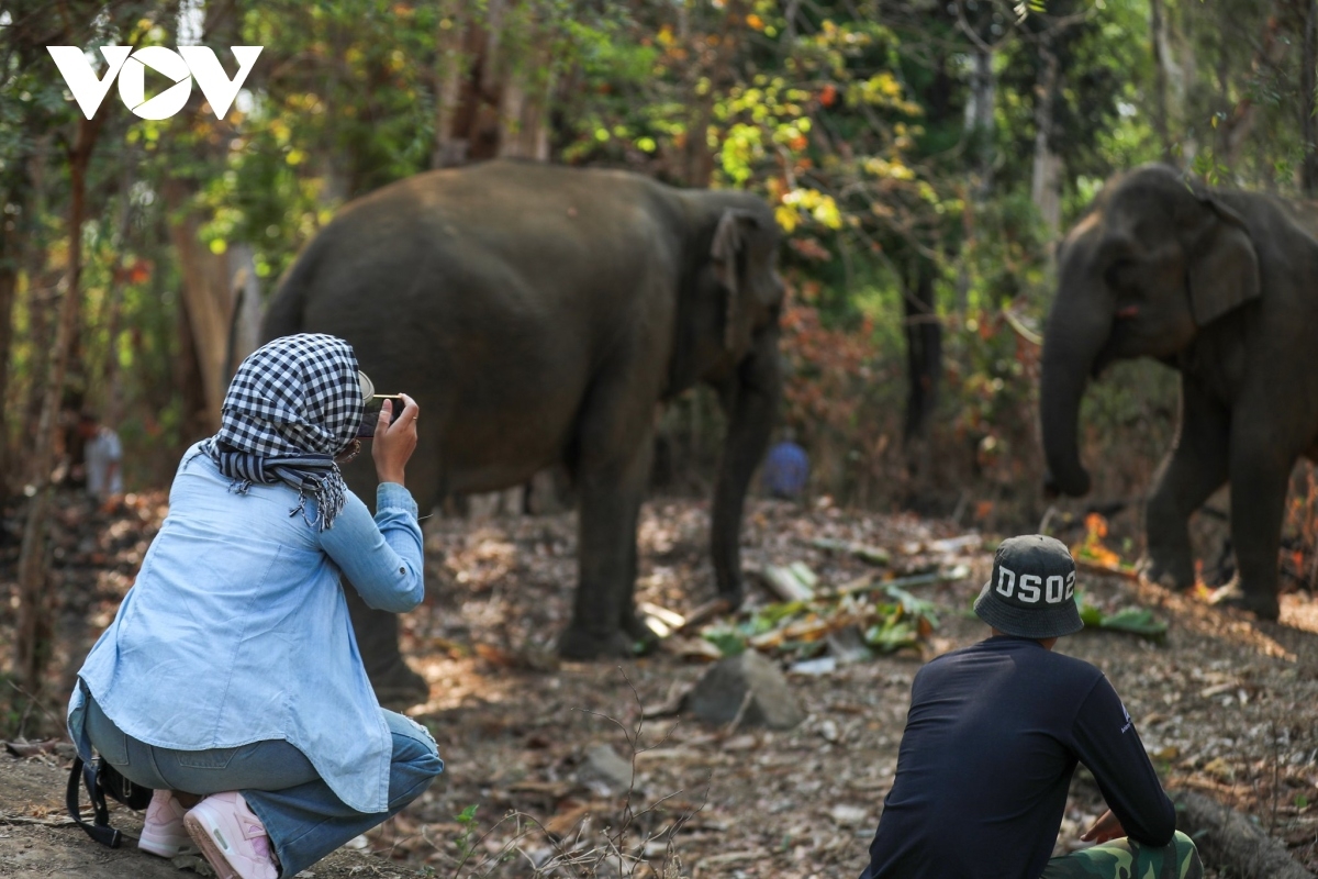 Tuai damuai meda mbuan ngak randap haong limen 