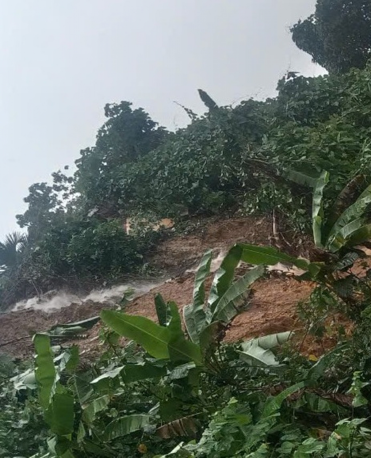 Nhiều vị trí các huyện Nam Trà My nguy cơ sạt lở rất cao. 
Ảnh: Long Phi/VOV Miền Trung