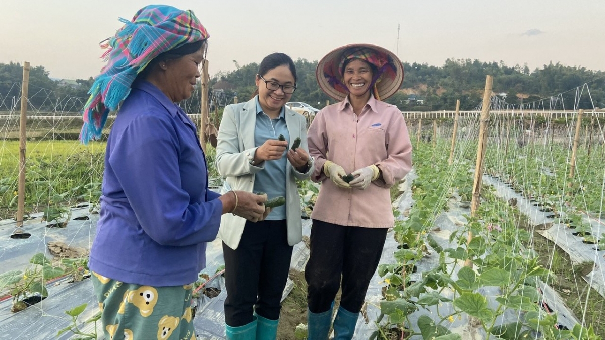 Niềm vui của bà con nông dân xã Hua Nà, huyện Than Uyên
 trong chuyển đổi cơ cấu cấy trồng mang lại hiệu quả kinh tế cao.
Ảnh: Khắc Kiên/VOV Tây Bắc