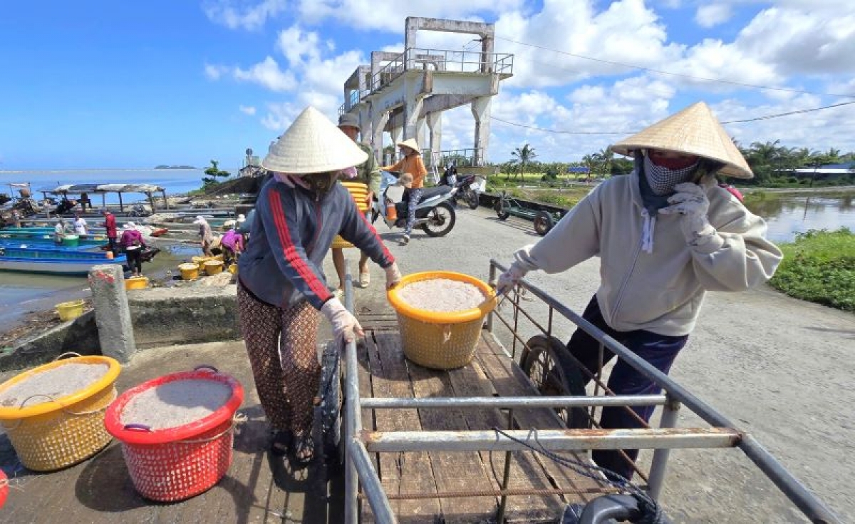 Nghề ruốc, ngoài nỗi lo đánh bắt không đạt sản lượng, còn rất lo ngại trời mưa. Mùa ruốc lại trùng mùa mưa nên ngư dân rất dễ bị ảnh hưởng, không phơi được ruốc.