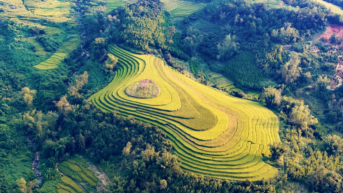 Đây là năm thứ 5 huyện Bình Liêu duy trì hoạt động này với kỳ vọng sẽ là điểm nhấn thu hút du khách đến và trải nghiệm vẻ đẹp hoang sơ, kỳ vĩ của mảnh đất miền đông tỉnh Quảng Ninh, góp phần để Bình Liêu phấn đấu hoàn thành chỉ tiêu thu hút 250.000 lượt khách du lịch trong năm 2024./.