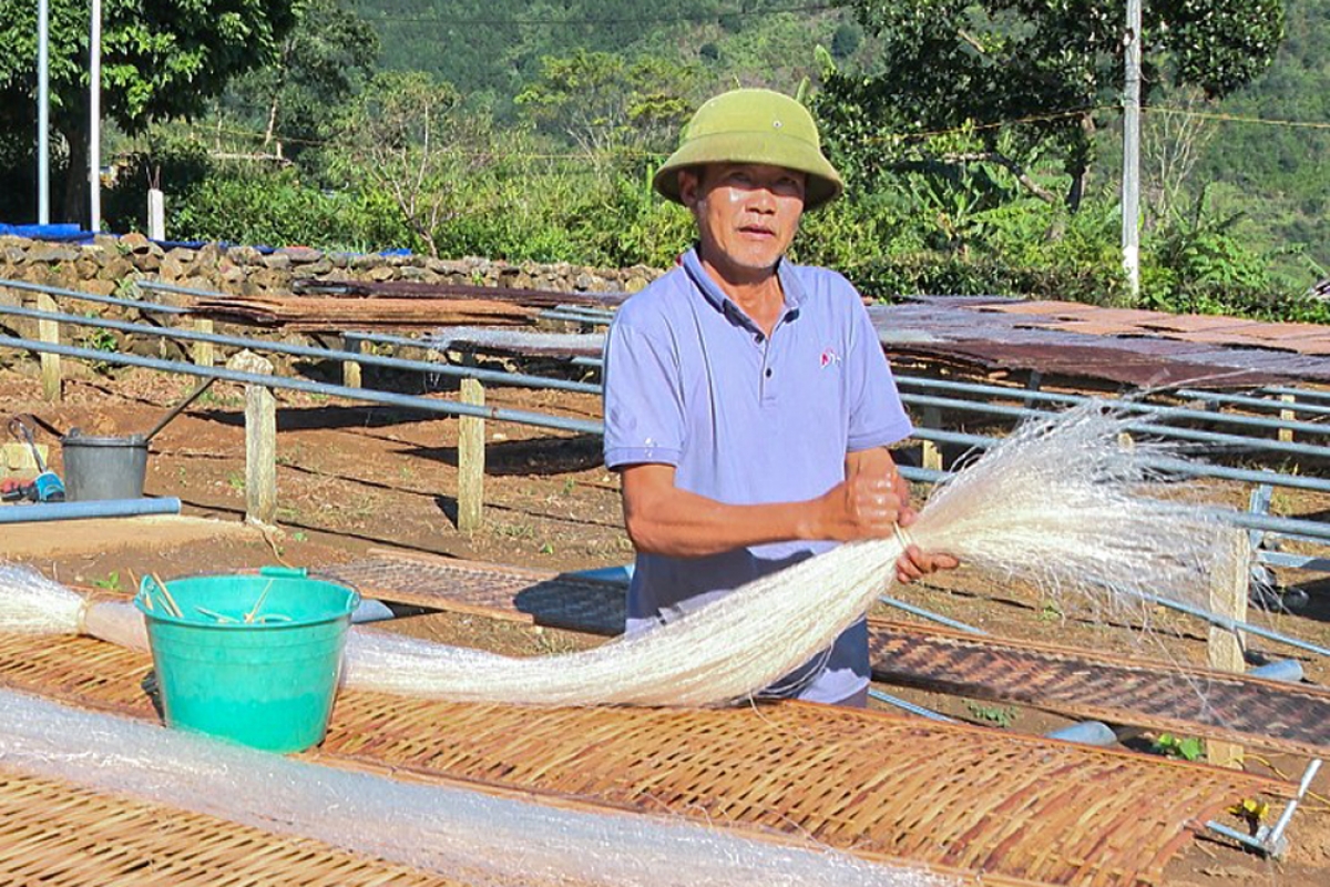 Sau khi phơi khô, miến được thu gom để chuẩn bị cho công đoạn đóng bao bì sản phẩm