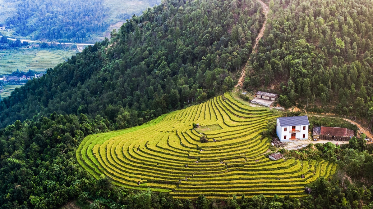 Ruộng bậc thang như những con sóng nối tiếp nhau vỗ vào sườn núi, xen lẫn là rừng hồi, rừng quế xanh ngát, thấp thoáng mái ngói âm dương của người Tày, Dao, Sán Chỉ tạo nên vẻ đẹp riêng cho biên cương Đông Bắc, dù diện tích ruộng bậc thang ở đây không lớn như các điểm đến Mù Cang Chải (Yên Bái), Hoàng Su Phì (Hà Giang), Sa Pa (Lào Cai)…