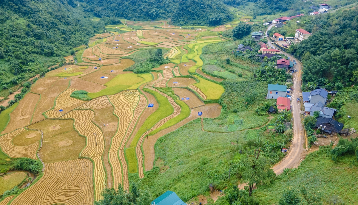 Toàn huyện Nguyên Bình ghi nhận 54 người thiệt mạng do sạt lở, mưa lũ, trong đó 4 xã Yên Lạc, Ca Thành, Vũ Nông, Vũ Minh sạt lở vào các khu vực dân cư. Riêng điểm sạt lở trên đường thuộc xóm Khuổi Ngoạ, xã Ca Thành đã cuốn trôi xe khách, xe máy khiến 32 người chết, đến nay vẫn còn 2 người mất tích. Sẽ còn phải mất rất nhiều thời gian để tái thiết cuộc sống, nhưng như chị Triệu Mùi Diết (xóm Lũng Súng, xã Yên Lạc) mong mỏi: “Mọi đau thương rồi cũng sẽ qua. Chỉ mong người còn sống được bình an, sẽ cố gắng để có cuộc sống tốt hơn, để tiếp tục những công việc mà mình vẫn đang làm”.