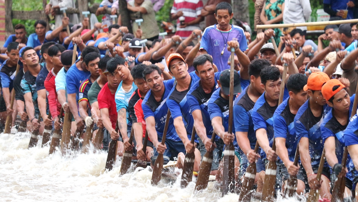 Nhịp bơi rất đều nhau.