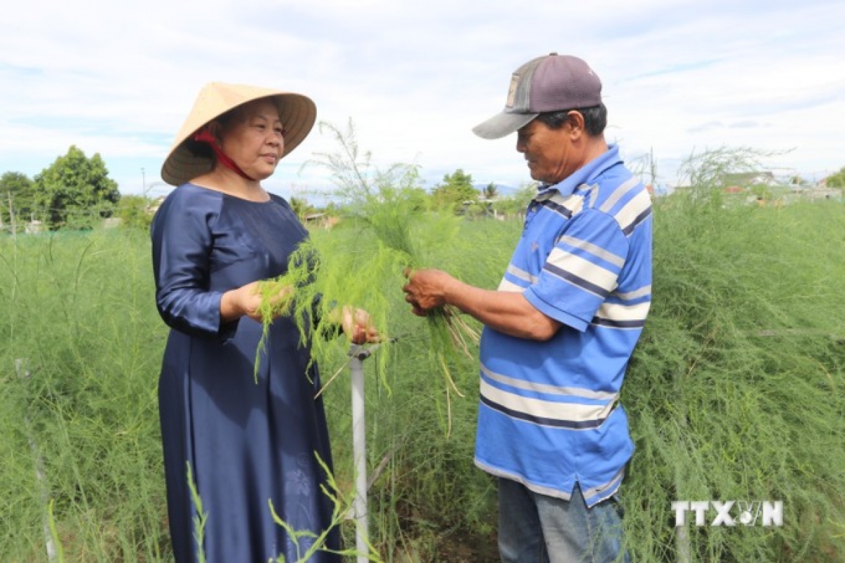 ​Amuk Kiều Thị Khuê jak ba mikva Cam palei Katuh pala phun ribung tay hijao piah hu jien mek tame glaong.