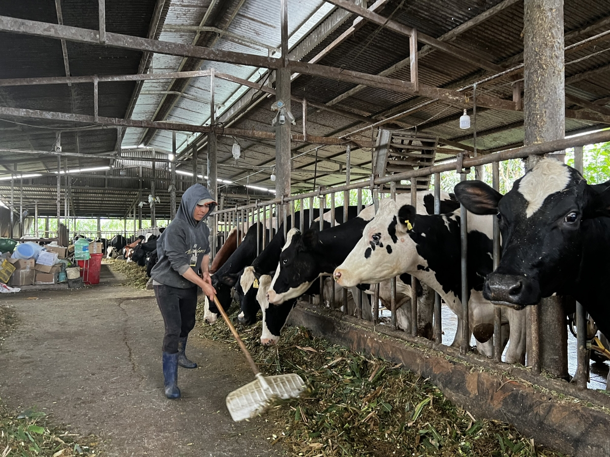 Mơngế ki păn ro xo têa tôu a Lâm Đồng ôh tá vâ ƀă kơlo chêl thiăn lối iâ xua Kŏng ti Naveto tơbeăng