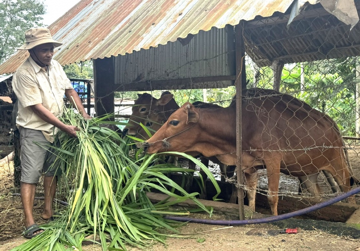 Broă lơh tơrlòng lài ròng phan tam phan bơh đảng viên ồng Y Quá Mlô dê