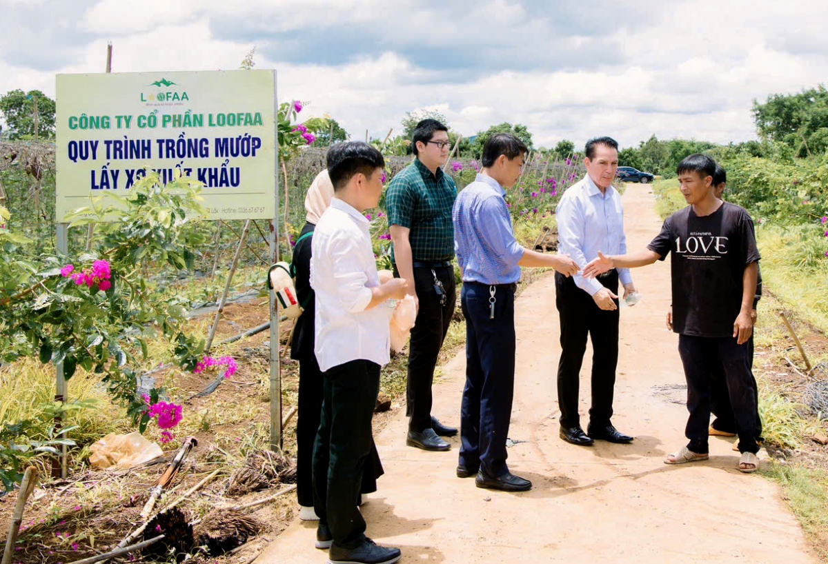 Bơngai jang hơdai năm lăng chă hơlen lăng tơring tơmam pơm tơlĕch tơpu tơyĕn