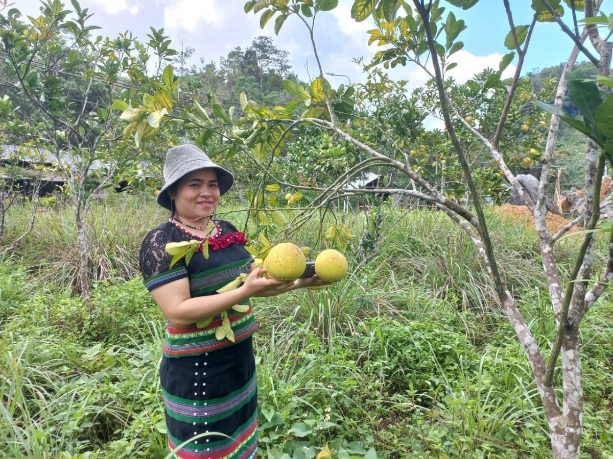 Ảnh: Báo Quảng Nam