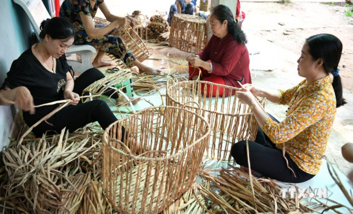 Bruk pak gak daong ka urang daok saoh di palei dalam tinh Soc Trang duah jien.