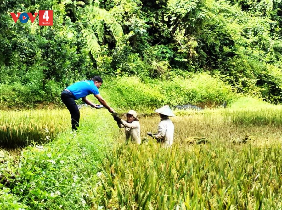 Cán bộ BHXH huyện xuống tận nơi sản xuất của bà con Cơ Tu để phát tờ rơi