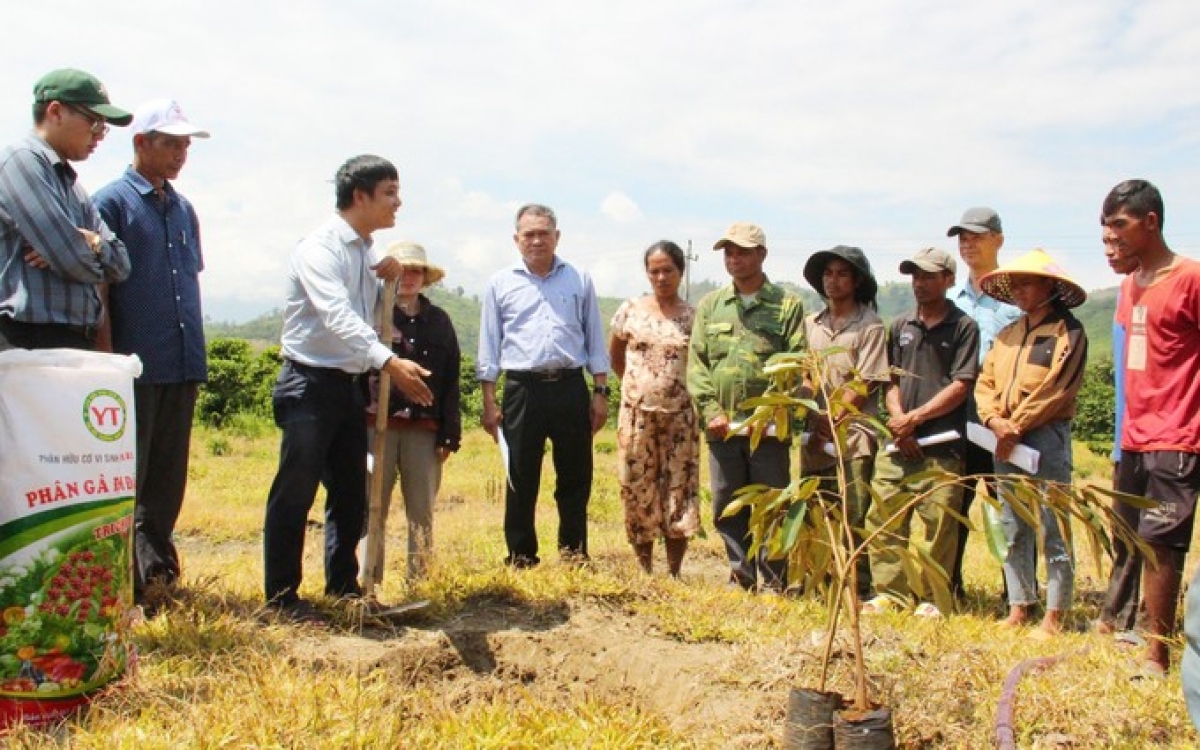 Tíu pêi cheăng pro nhŏng o ăm hdrê loăng ƀă hnê kuăn pơlê kih thuât pêt, rak ngăn loăng plâi sầu riêng ăm kuăn pơlê