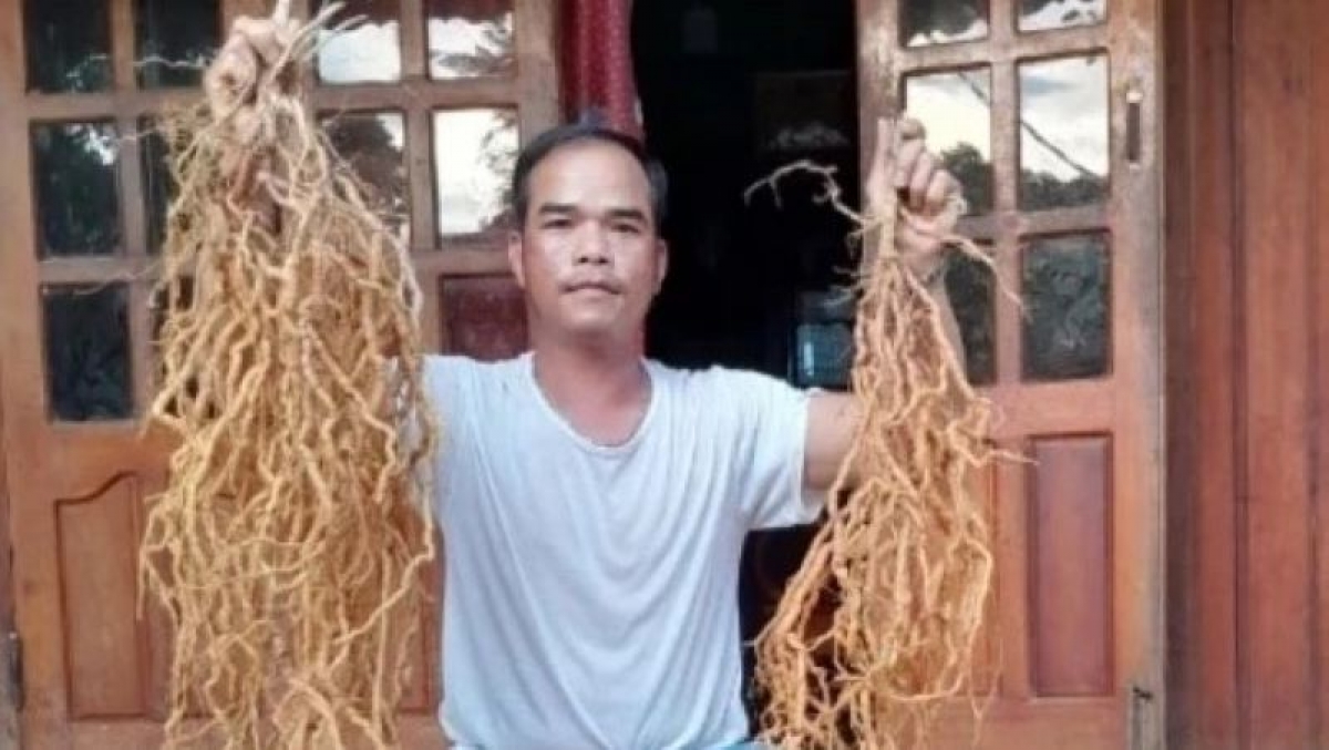 Đảng viên BNướch Ngang làm kinh tế giỏi ở huyện Đông Giang, tỉnh Quảng Nam