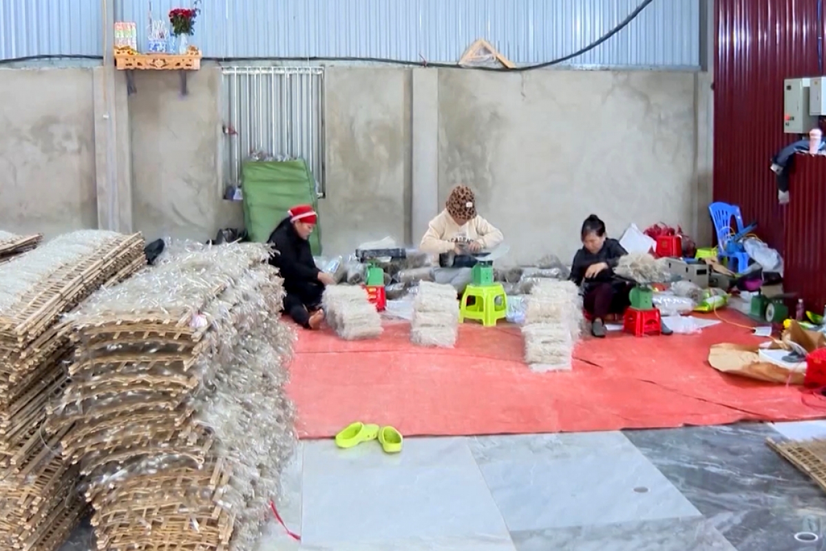 Làng miến truyền thống Bình Lư, huyện Tam Đường (Lai Châu)
những ngày này đang nhộn nhịp vào vụ mới