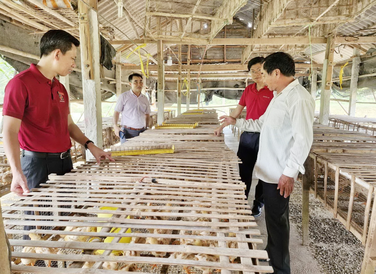 Cán bộ tín dụng Agribank - Chi nhánh huyện Đại Lộc, tỉnh Quảng Nam
đồng hành với người dân trong phát triển chăn nuôi