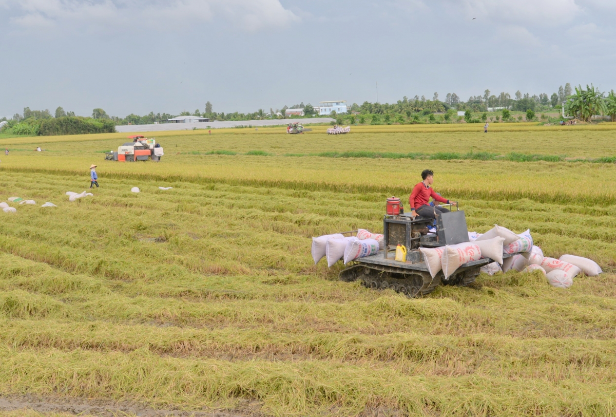 Nam 2023 tăc phe mờ lơgar bơdìh lơgar Việt Nam dê geh uă ngan bơh lài tus tŭ do