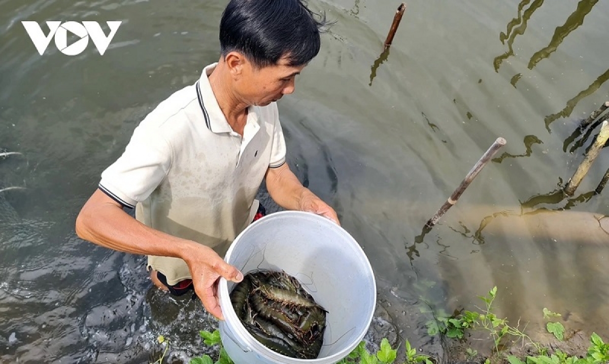 Ong Nguyễn Văn Thương