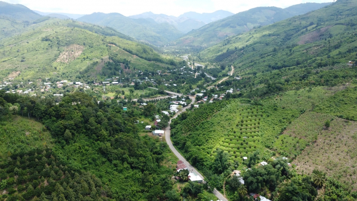 Tại huyện miền núi Khánh Sơn, tỉnh Khánh Hòa đã hình thành nhiều vùng chuyên canh cây sầu riêng