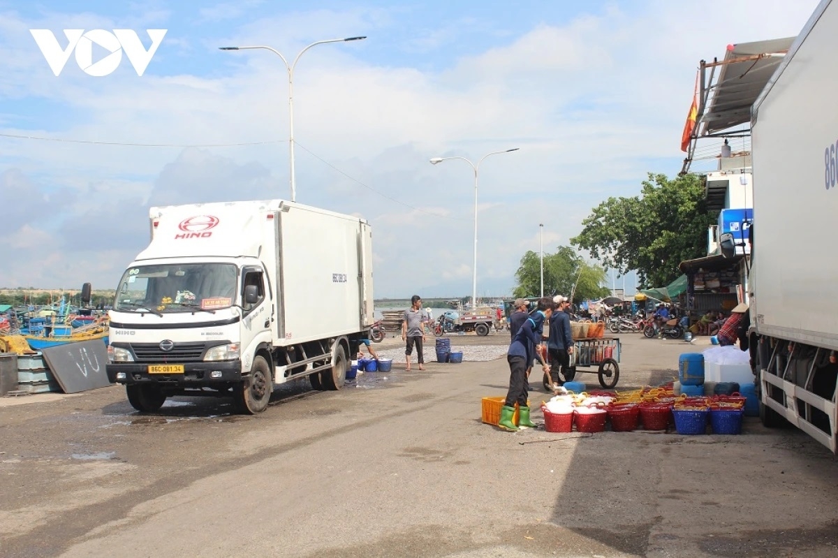 Tapen ikan di Binh Thuan