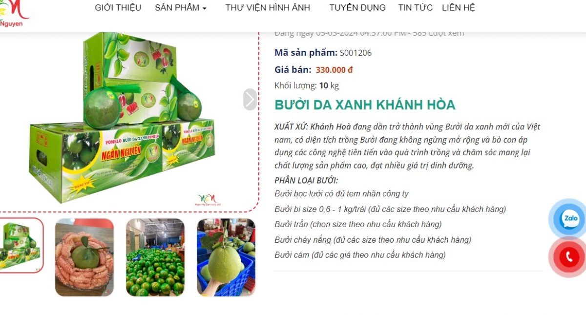 Bưởi da xanh của huyện miền núi Khánh Vĩnh, tỉnh Khánh Hòa
được doanh nghiệp quảng bá, bán hàng thương mại điện tử