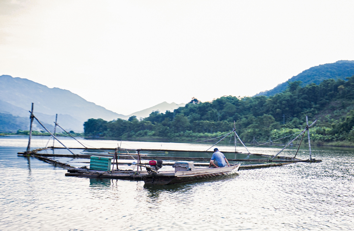 Các bè thả lưới của ngư dân khu vực lòng hồ thủy điện Sơn La, Thị xã Mường Lay