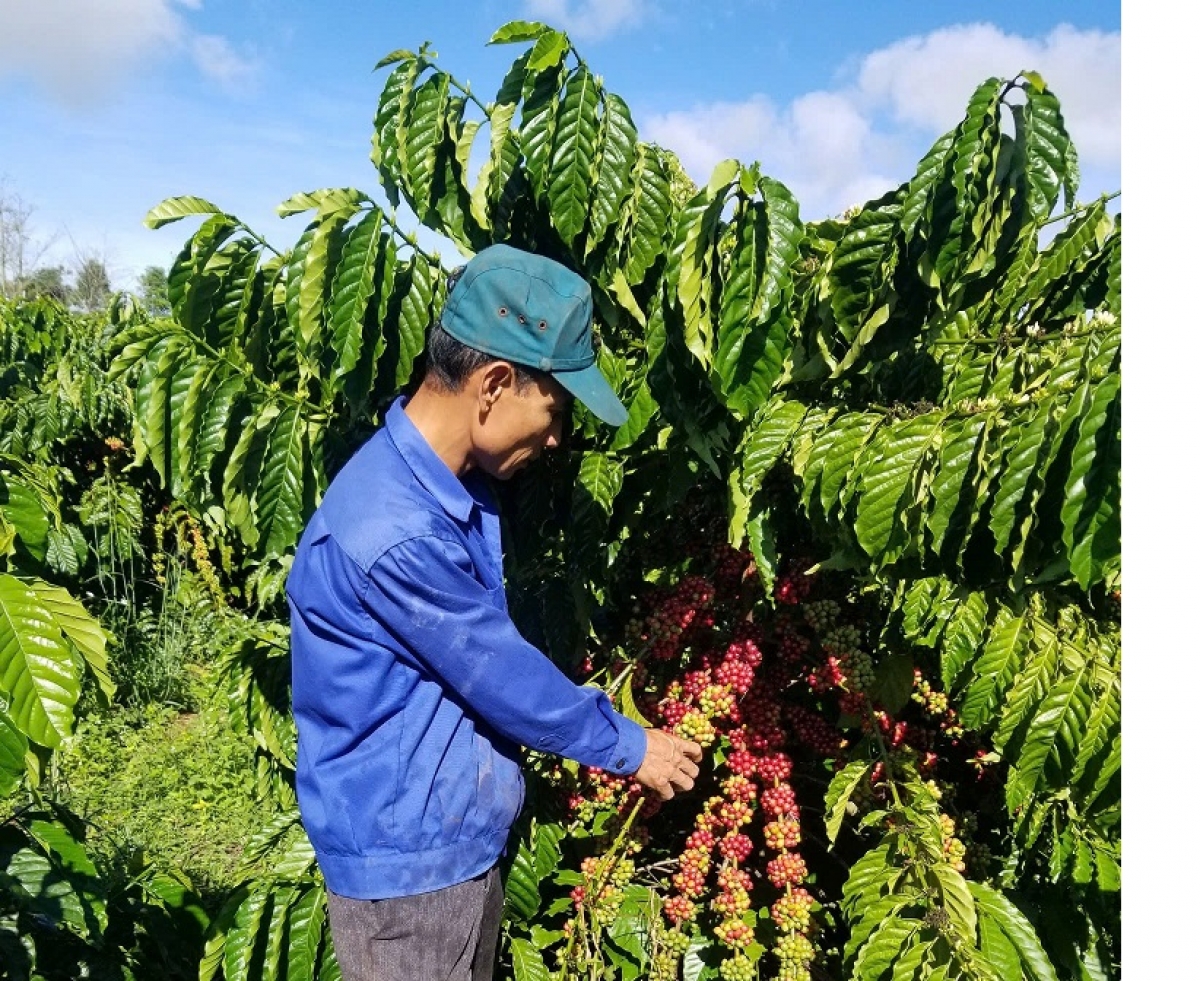 
HTX Sáu Nhung pruih đak păng xăy phŏng ‘mơ ‘met kơna ‘long cheh phe jing ‘lơ̆ng