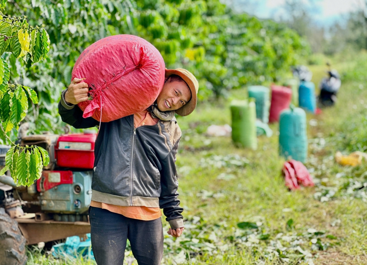 Cà phê lah tơm tăm khlay bah n’gor Dak Lak
 