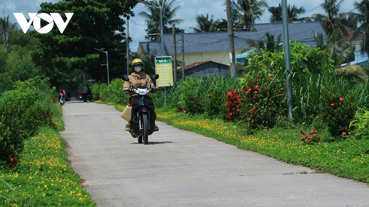 Lộ giao thông thông thoáng, được trồng hoa 2 bên đường tạo mỹ quan