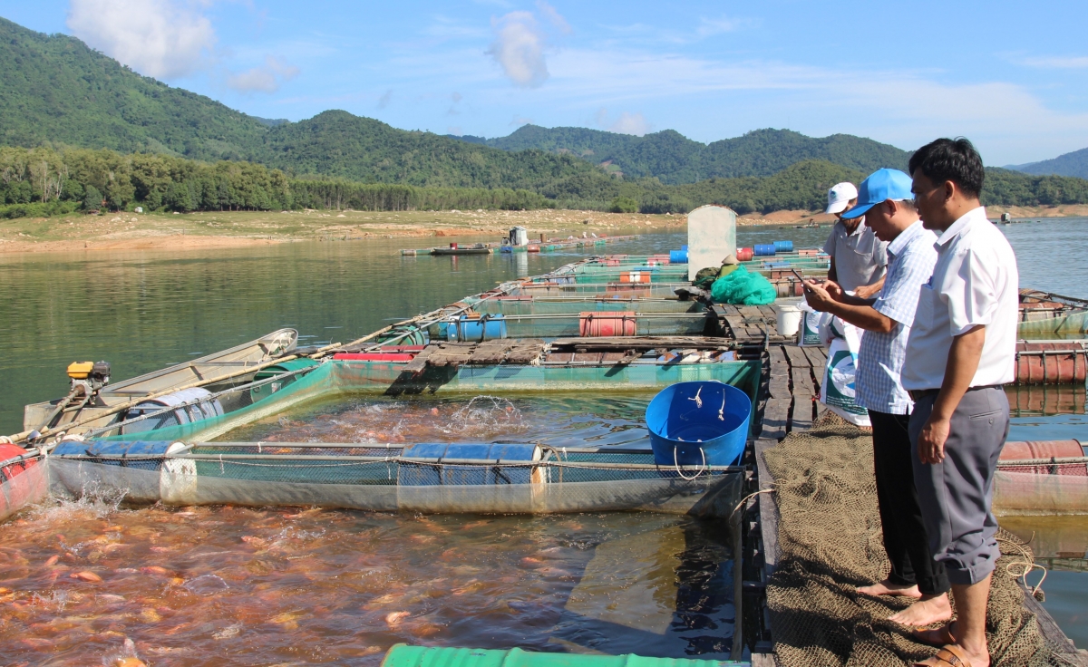 Nuôi cá lồng bè giúp người dân thu nhập ổn định.