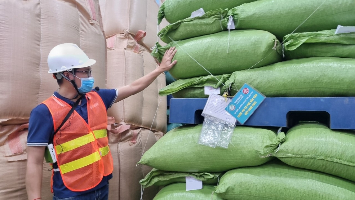 
Tây Nguyên tĕch kaphê robusta kăp gĭt ăn teh đak đe