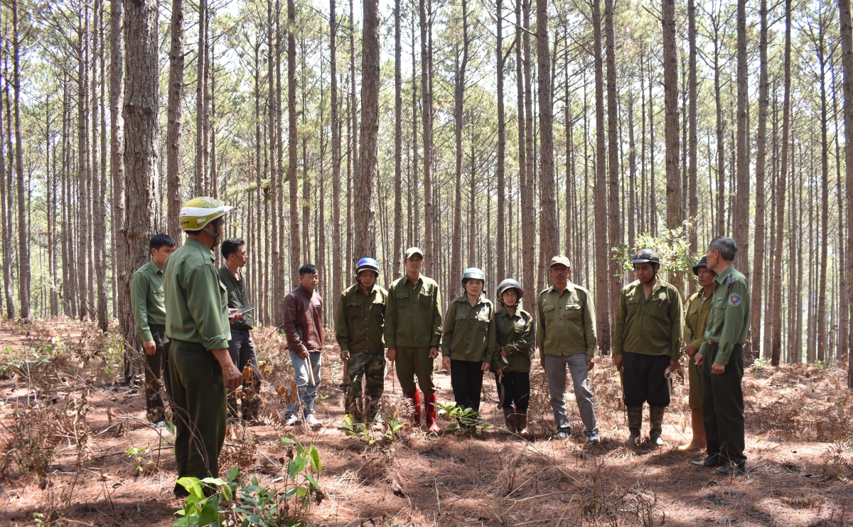Các hộ nhân khoán quản lý bảo vệ rừng triển khai việc tuần tra, kiểm soát rừng.
Ảnh: Quang Sáng/VOV Tây Nguyên