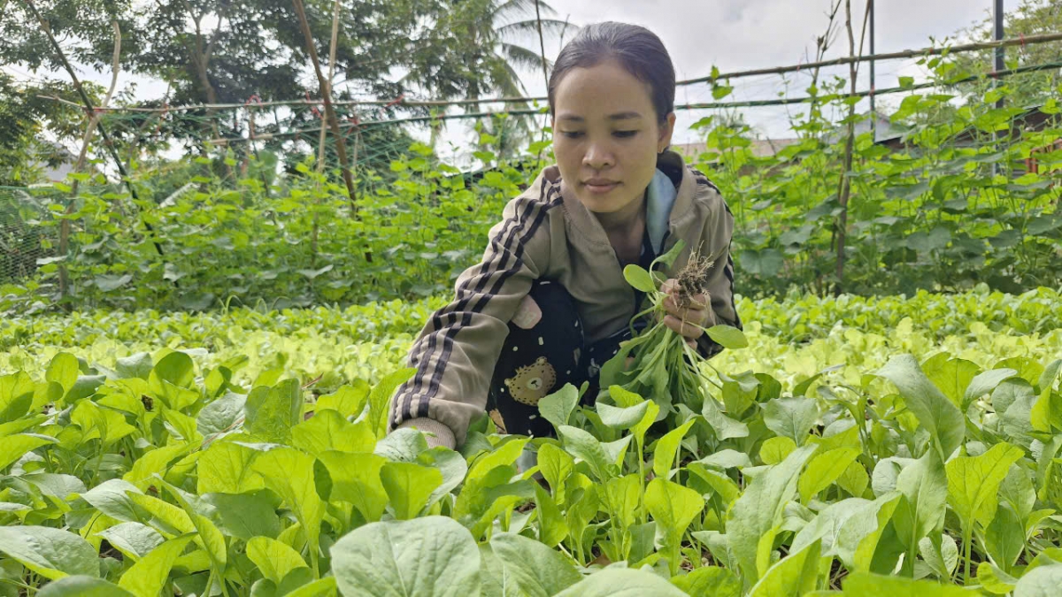 Tơdơi kơ mut hrŏm anih pơtô bruă, amai Kpă H’Bluyn thâo pla lu añăm tam amăng hmua kơ sang anŏ