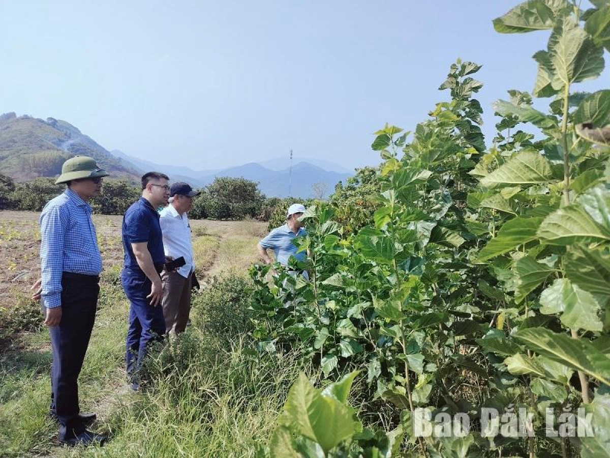 Tơbăng chiâk pêt loăng yâu a cheăm Hoà Lễ, Krông Bông (Um: Hlá tơbeăng Dak Lak)