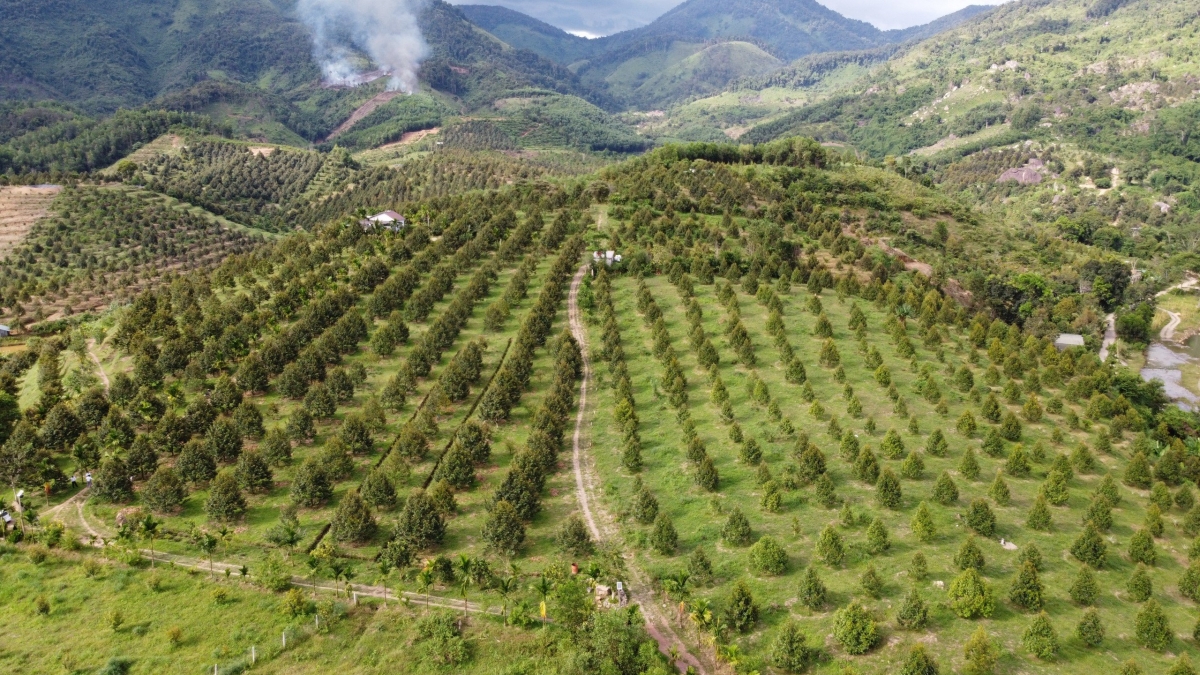 Huyện miền núi Khánh Sơn gắn chuyển đổi xanh nông nghiệp với phát triển du lịch