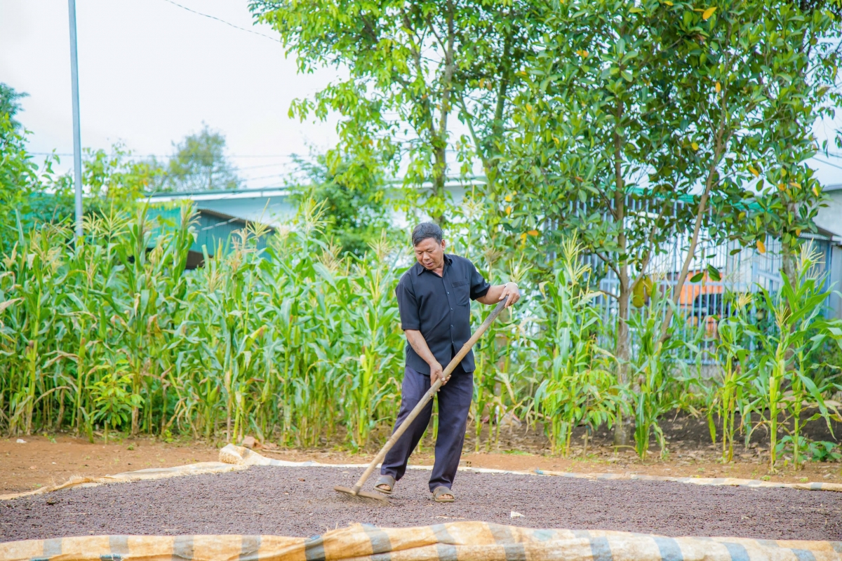 Pôa K’Ndum têng dêi kơphế a kơdrum