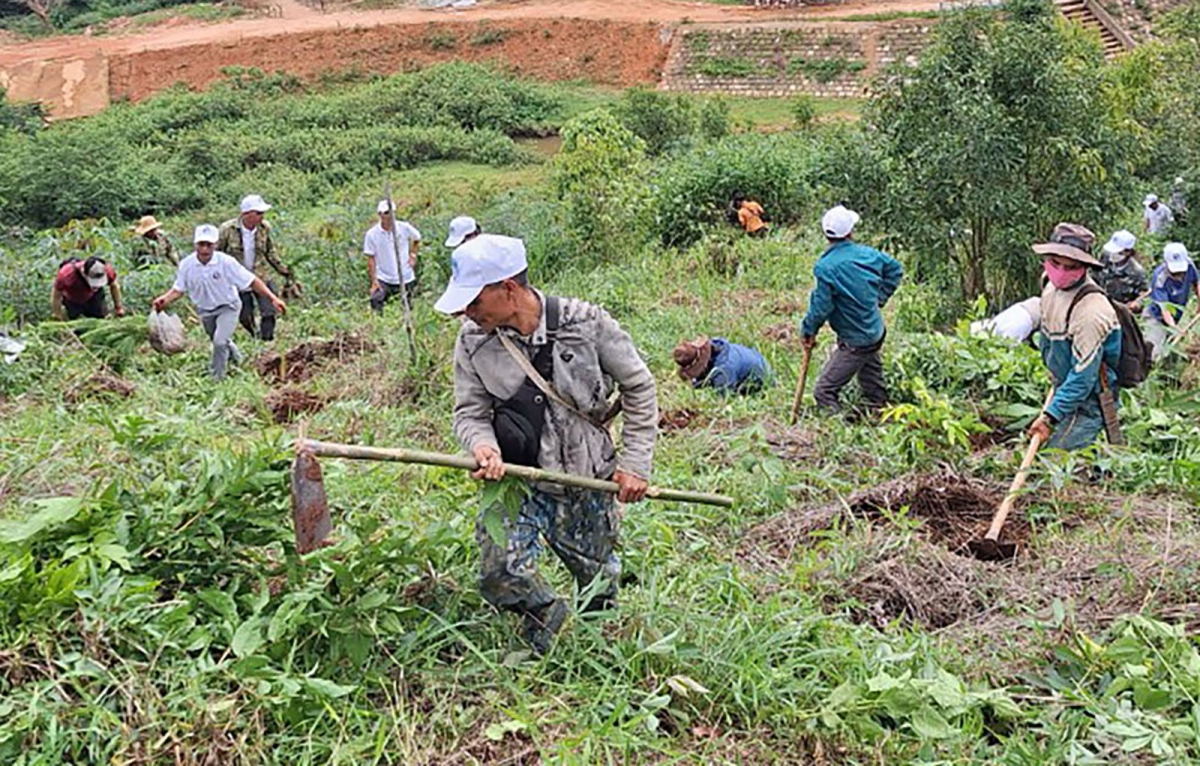 Người dân huyện Tu Mơ Rông, tỉnh Kon Tum ra quân trồng rừng phủ xanh đất trống đồi núi trọc.