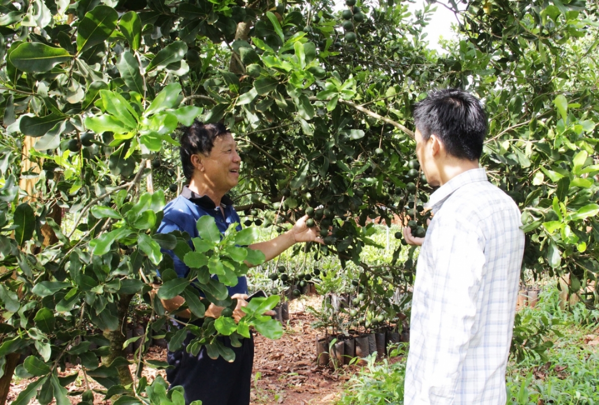 Cheăm Ea Sol pơhlêh hdrê loăng pêt vâ mơdêk pêi cheăng kâ. Mắc ca cho môi tung hdrê loăng ki ai plâi tê kơnâ liăn