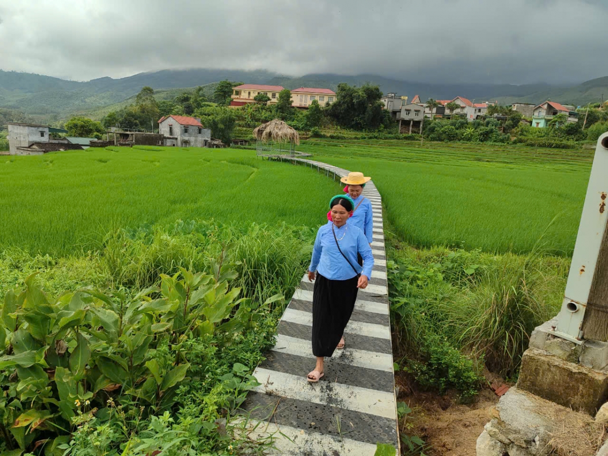 Tất cả 64 xã vùng DTTS và miền núi của tỉnh Quảng Ninh đạt chuẩn NTM.
Trong đó, có 29 xã NTM nâng cao, 11 xã NTM kiểu mẫu.
Ảnh: Vũ Thị Miền/VOV Đông Bắc