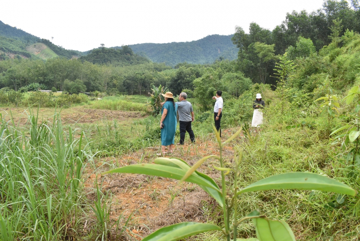 Bà Hoài Trâm kiểm tra, chỉ đạo các địa phương đẩy mạnh sản xuất nông nghiệp, thực hiện mục tiêu giảm nghèo bền vững 