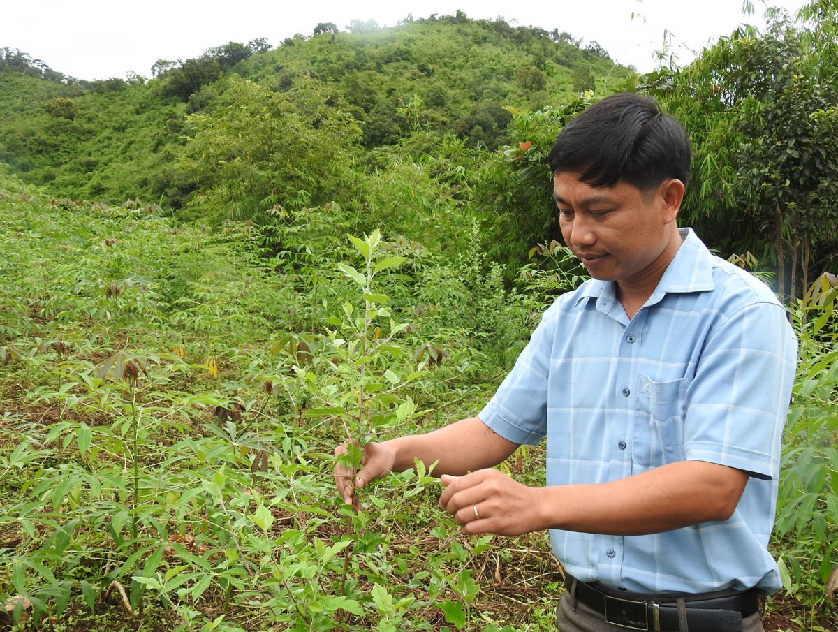 Loăng Sơn tra dế pơhlêh hên tơnêi pêt pôm loăng ton hơnăm hiăng ôh tá hơpok lěm