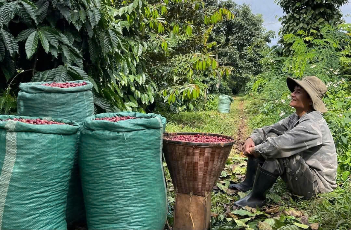 Wa Thoan klih cà phê rơh tal bar