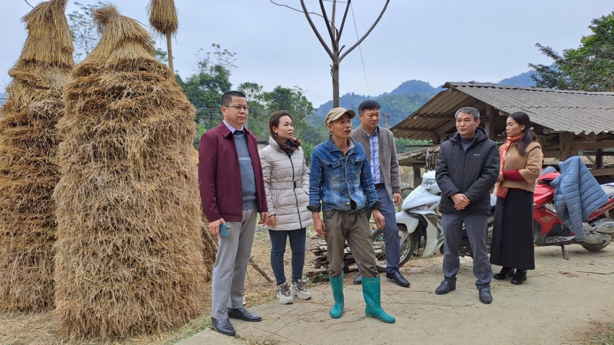 Lãnh đạo UBND huyện Na Rì, tỉnh Bắc Kạn kiểm tra công tác phòng chống rét cho gia súc tại các thôn, bản. Người dân đã chủ động tích trữ rơm, rạ cho trâu bò trong mùa đông.