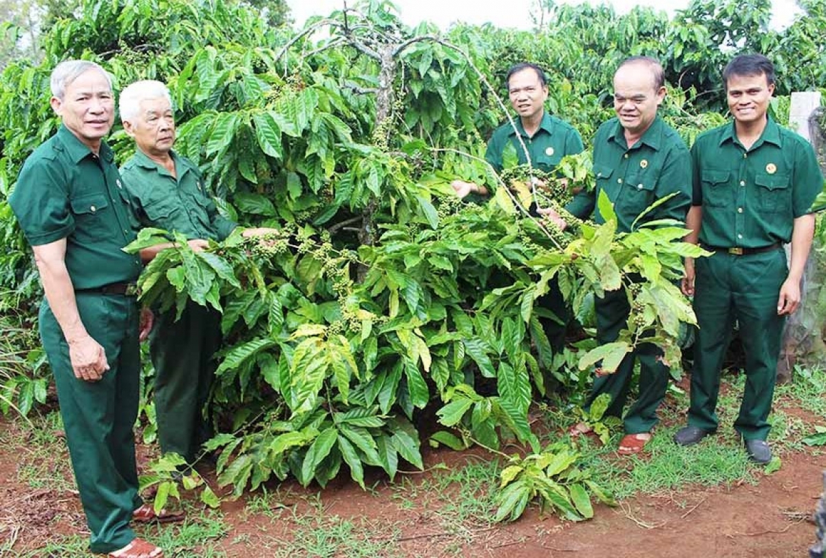 Troh ngăn túa pêi cheăng kâ dêi mâu ngế Mố đô̆i hneăng hdrối Đăk Đoa