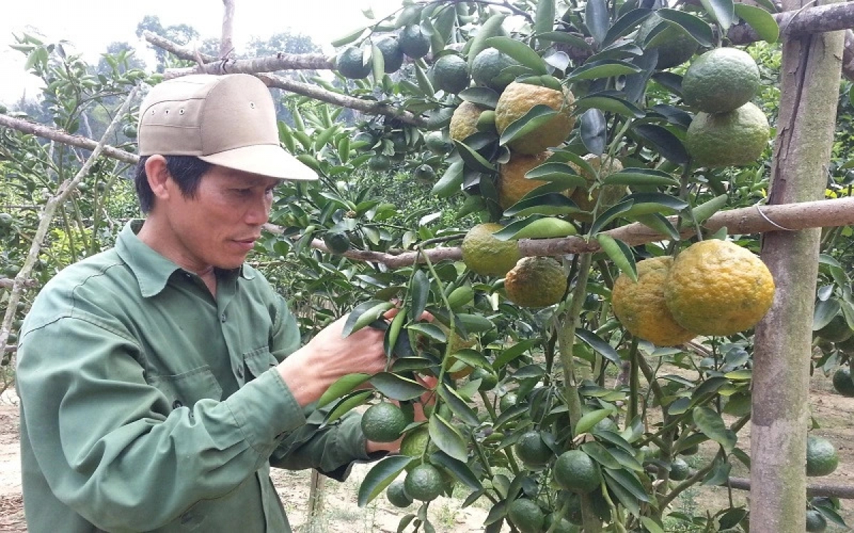 Teh pơtăm ‘long xa plei oei tŏk ‘lơ̆ng, blŭng a hơnhăk ba tơdrong đei yoa sơđơ̆ng ‘lơ̆ng