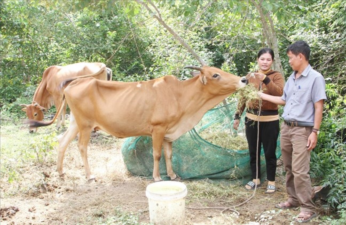 Raong limo piah patruh kathaot 