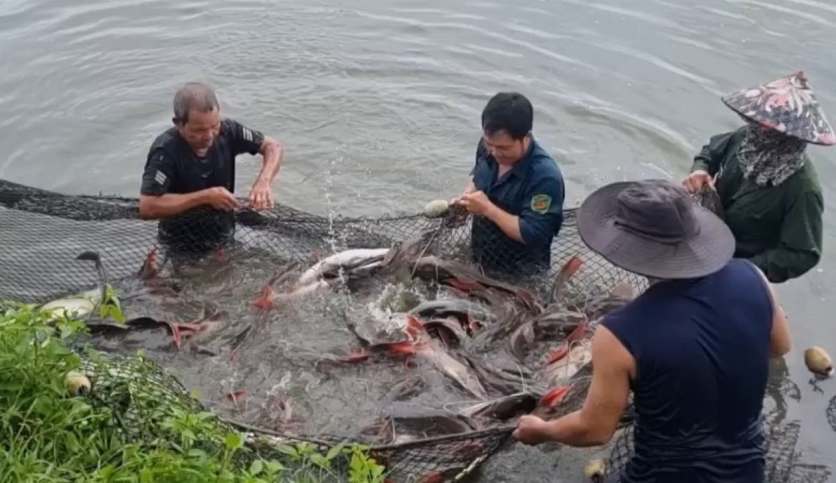 Ală hìu làng bol tàm thôn 5, xã Hoà Phú, ƀòn dờng Buôn Ma Thuột kŭp ka lăng tiang pơrhê tăc